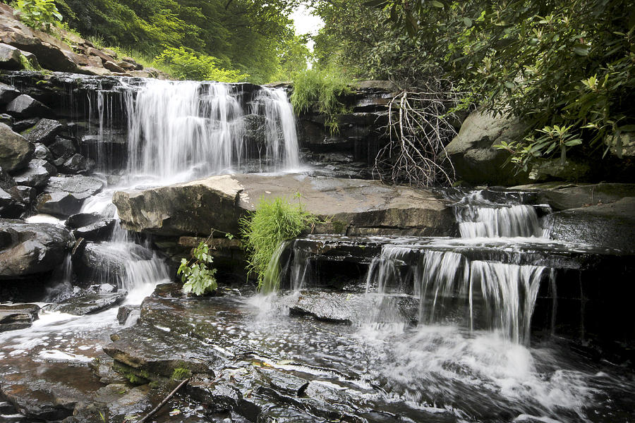 Upper Goose Creek Falls Photograph by Robert Camp