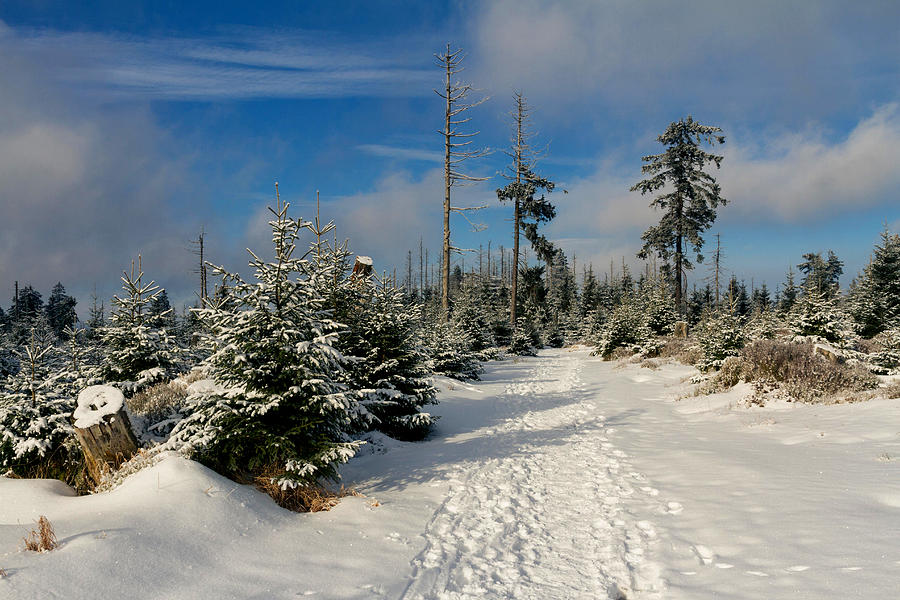 Upper Harz Photograph by Andreas Levi
