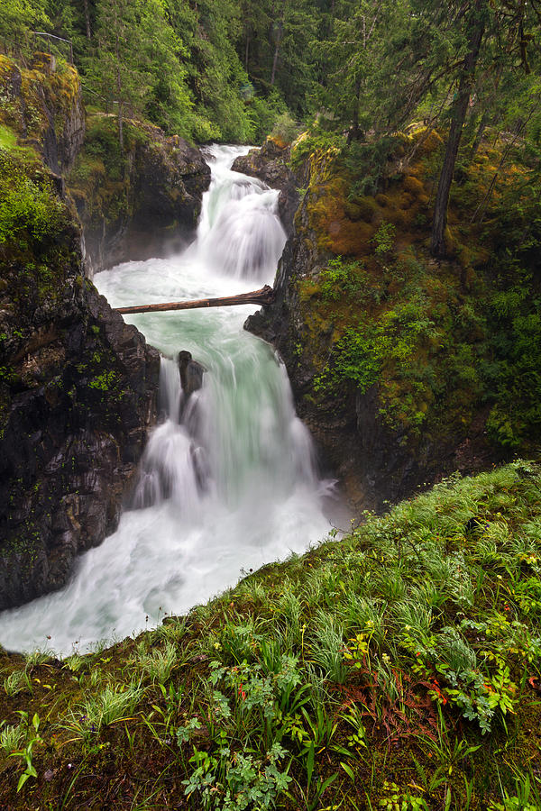 Upper Little Qualicum Falls in Spring Photograph by Michael Russell