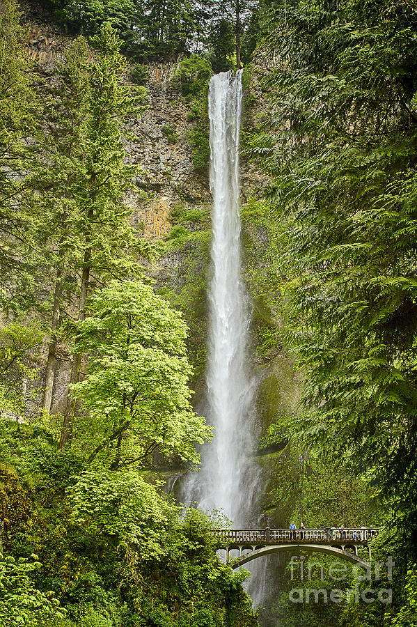 Upper Multnomah Falls Photograph by Carrie Cranwill