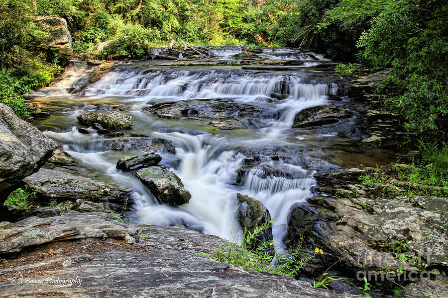 Upper Panther Creek Falls Photograph by Barbara Bowen