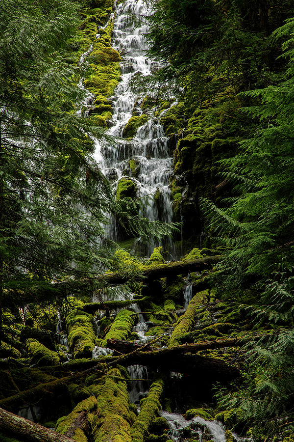Upper Proxie Falls, Oregon Cascade Photograph by Bob Pool