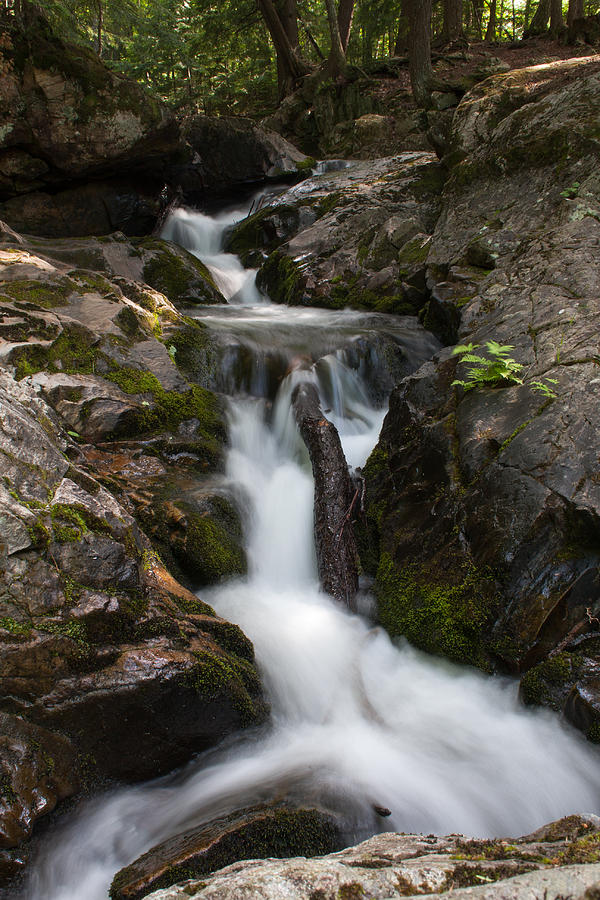 Upper Pup Creek Falls Photograph by Paul Rebmann