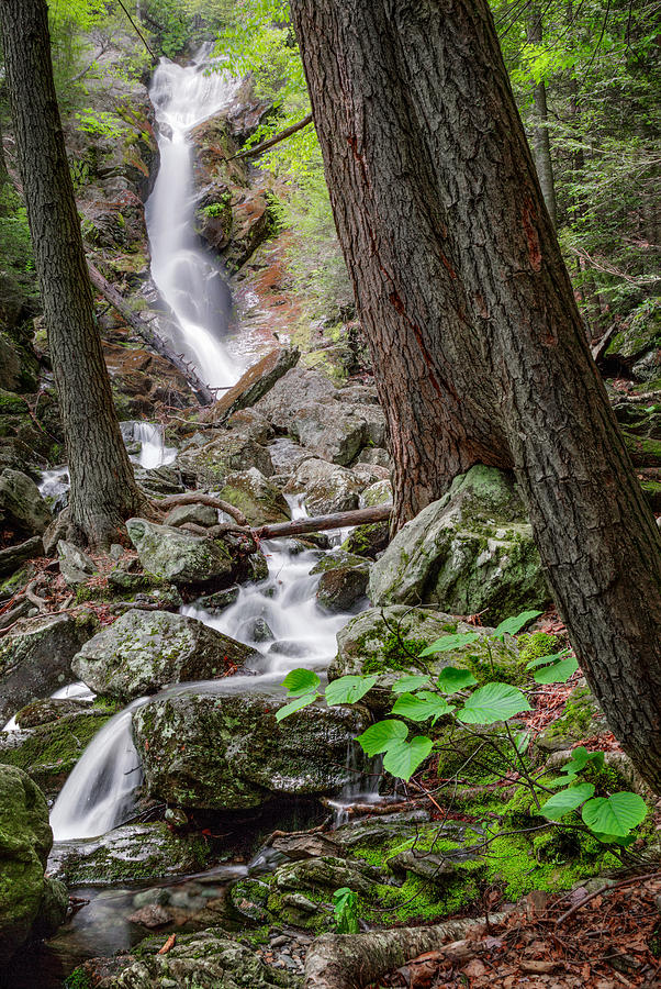 Spring Photograph - Upper Race Brook Falls by Bill Wakeley
