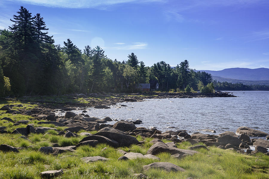 Upper Richarson Lake Grass Photograph by Norm Rodrigue - Fine Art America