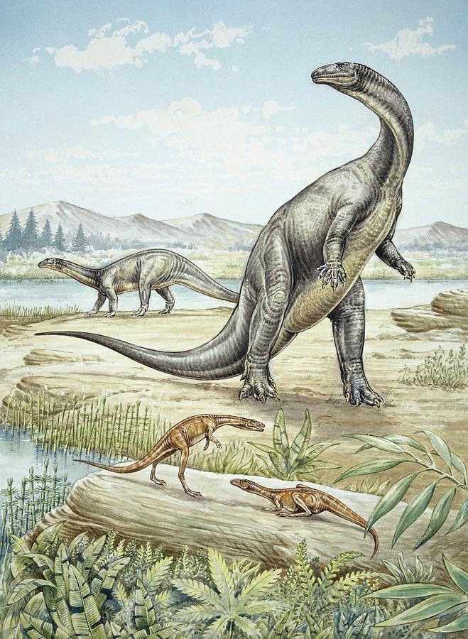 triassic species