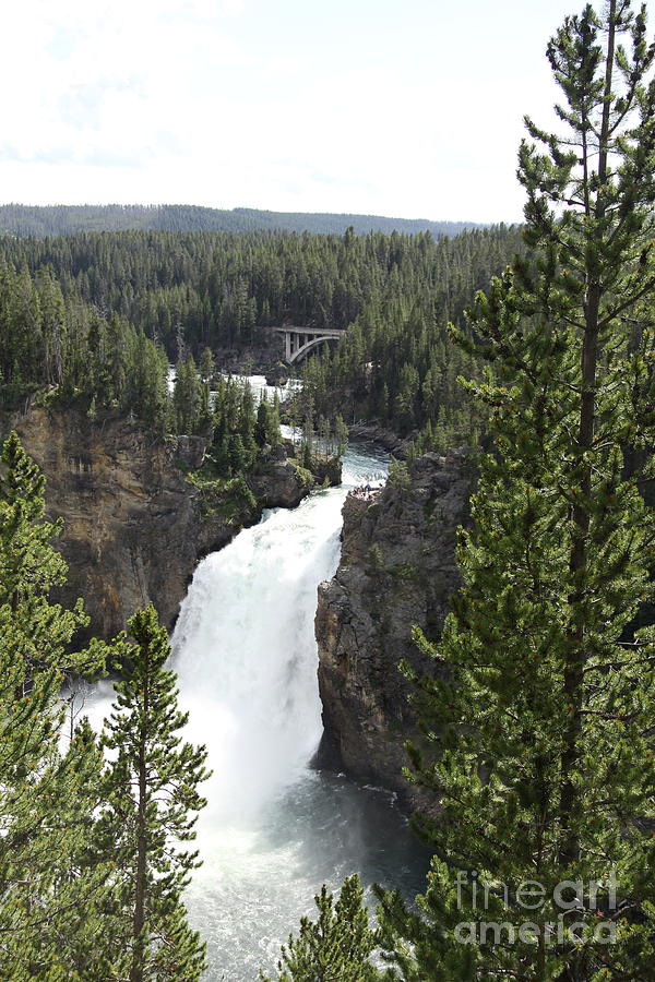 Upper Yellowstone Falls Photograph by Christiane Schulze Art And Photography