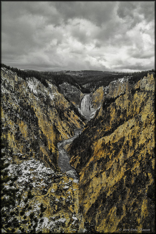 Lower Yellowstone Falls Photograph by Erika Fawcett