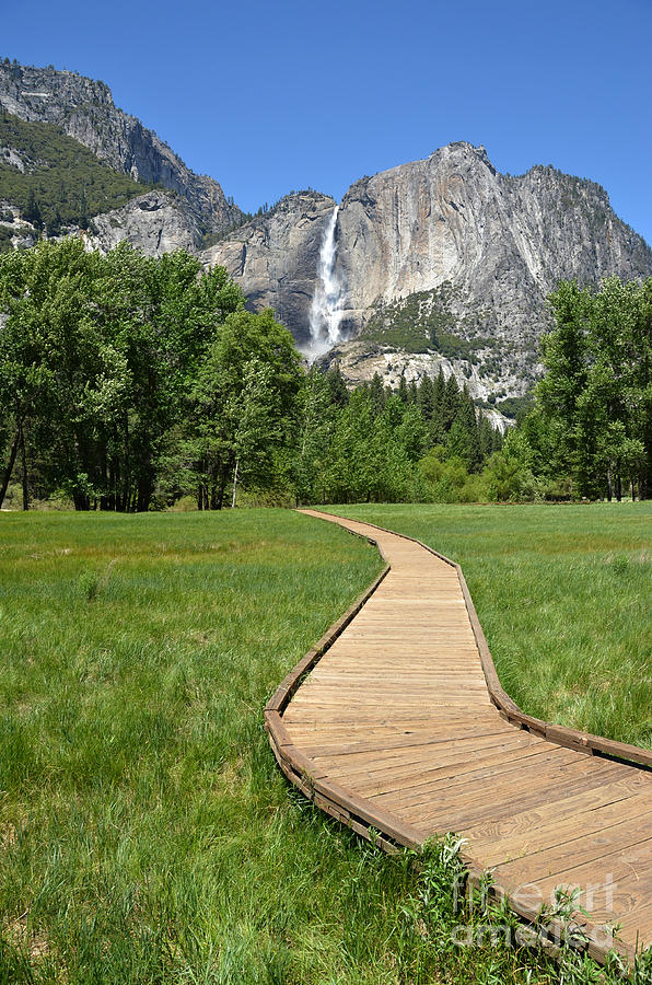 Upper Yosemite Falls and Boardwalk Photograph by Debra Thompson