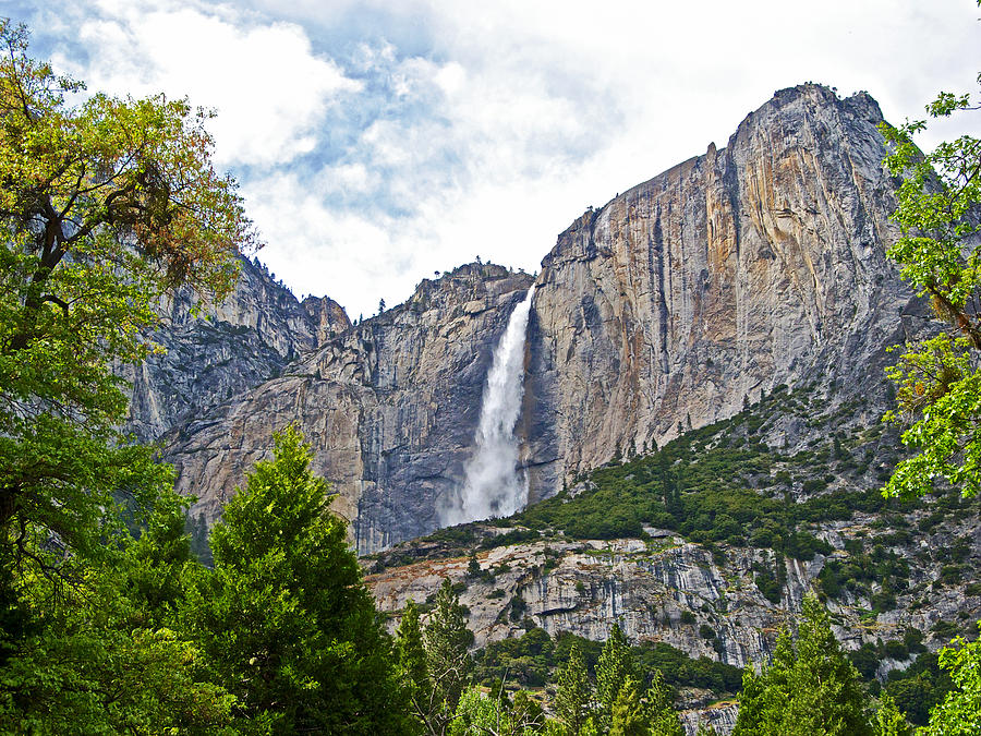 Upper Yosemite Falls from the Valley Floor in Yosemite National Park-California Photograph by Ruth Hager