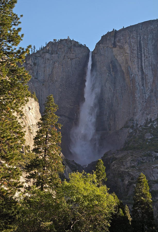 Upper Yosemite Falls In Morning Light Photograph by Michele Myers
