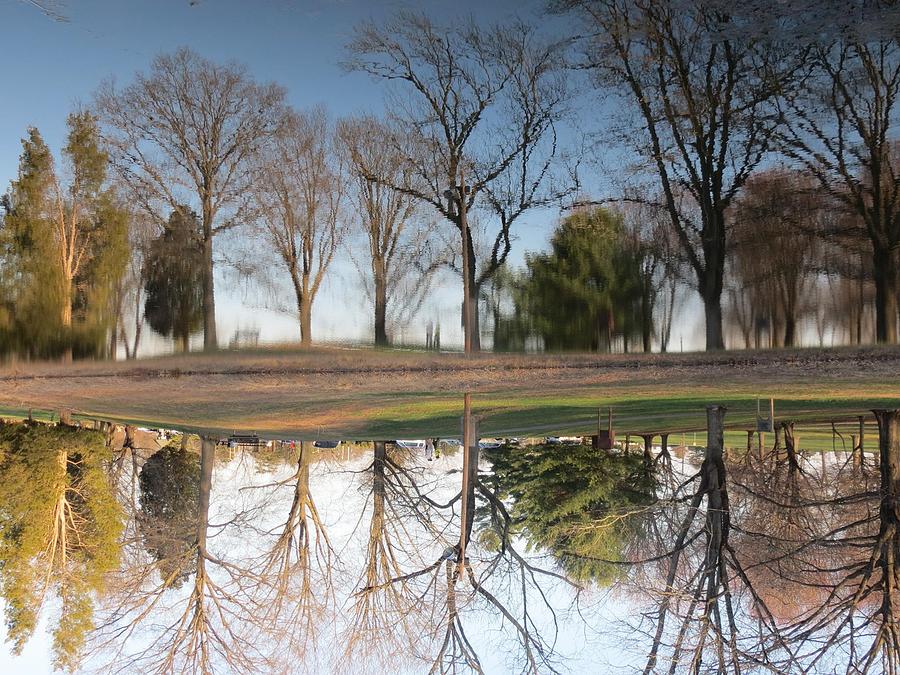 Upside Down Photograph by Snigdha Rai | Pixels