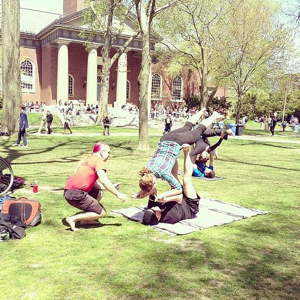 Harvard Photograph - Upside Down Campus
#harvard #campuslife by Khamid B