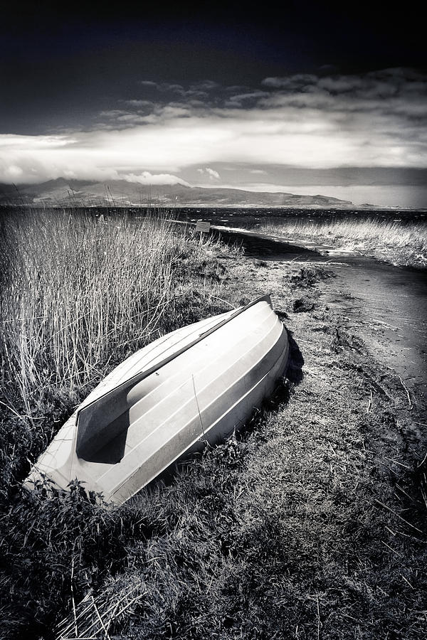 Upside down t Lough Gill Photograph by Mark Callanan