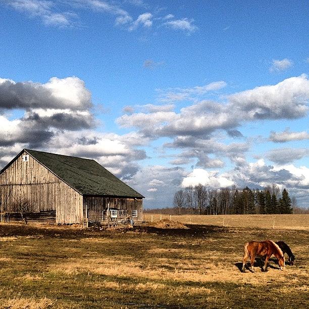 Landscape Photograph - Upstate New York #instagram #iphone5 by Daniel Piraino