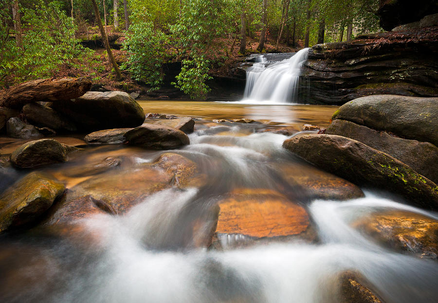 South Carolina Blue Ridge Mountains Waterfall Nature Photography  Photograph by Dave Allen