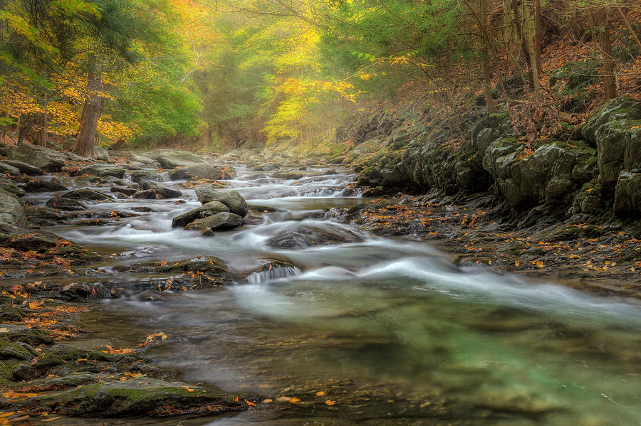 Fall Photograph - Upstream Fog by Bill Wakeley