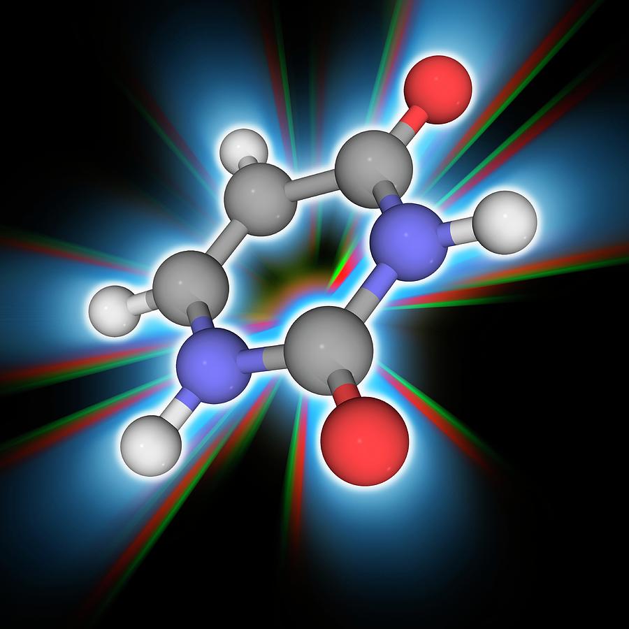 Uracil Organic Compound Molecule Photograph By Laguna Designscience Photo Library 7826