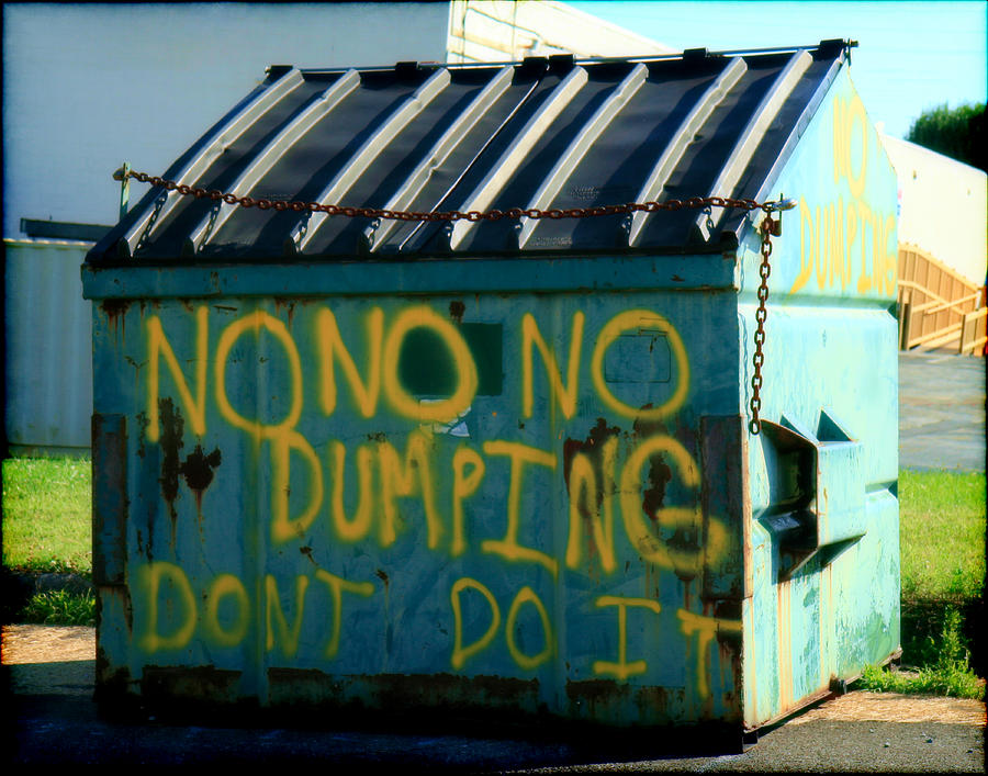 Urban Art Dumpster Graffiti Photograph by Denise Beverly