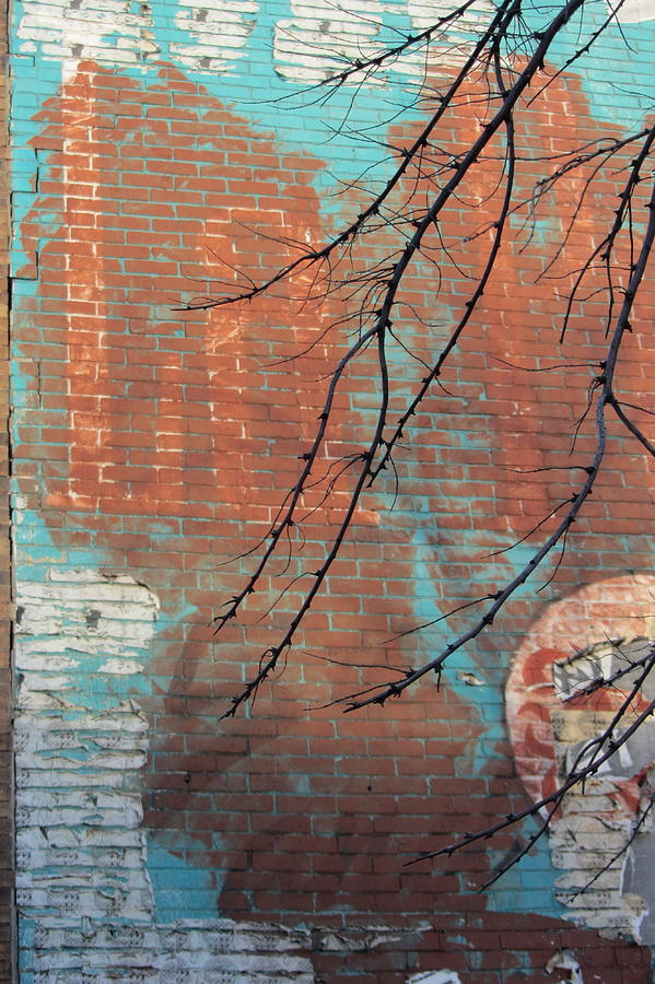 Urban Decay Mural Wall 3 Photograph by Anita Burgermeister