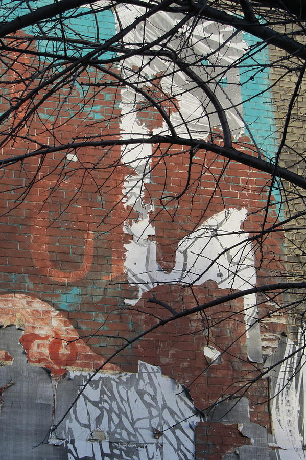 Urban Decay Mural Wall 5 Photograph by Anita Burgermeister