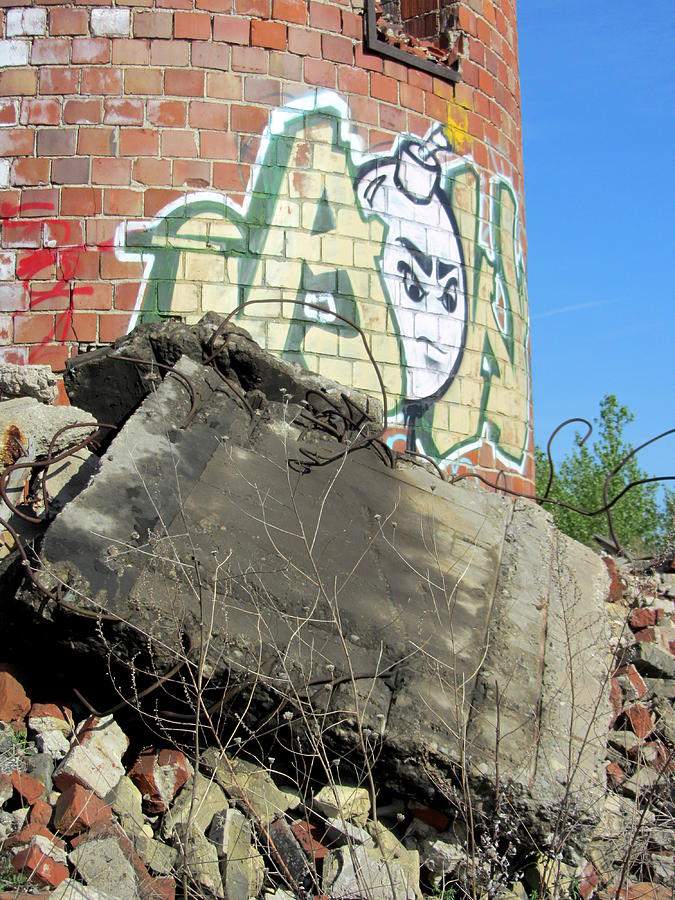 Urban Decay Solvay Brick Ruins 4 Photograph by Anita Burgermeister