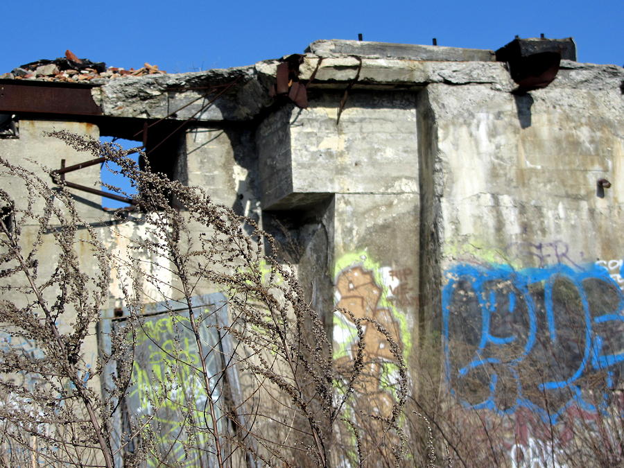 Urban Decay Solvay Ruins 9 Photograph by Anita Burgermeister