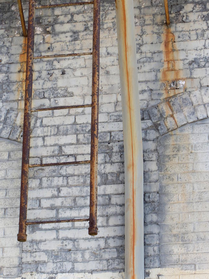 Urban Decay White Brick Ladder Photograph by Anita Burgermeister