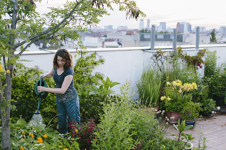 Urban Gardening: Woman Pours Plants On Roof Garden Photograph by Fotografixx