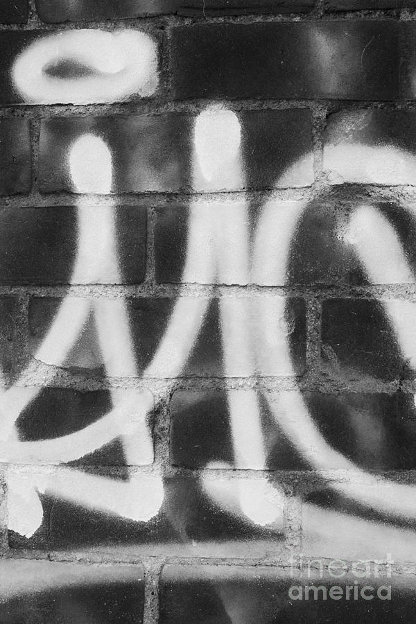 Urban Graffiti Abstract Concord 2015 Photograph by Edward Fielding