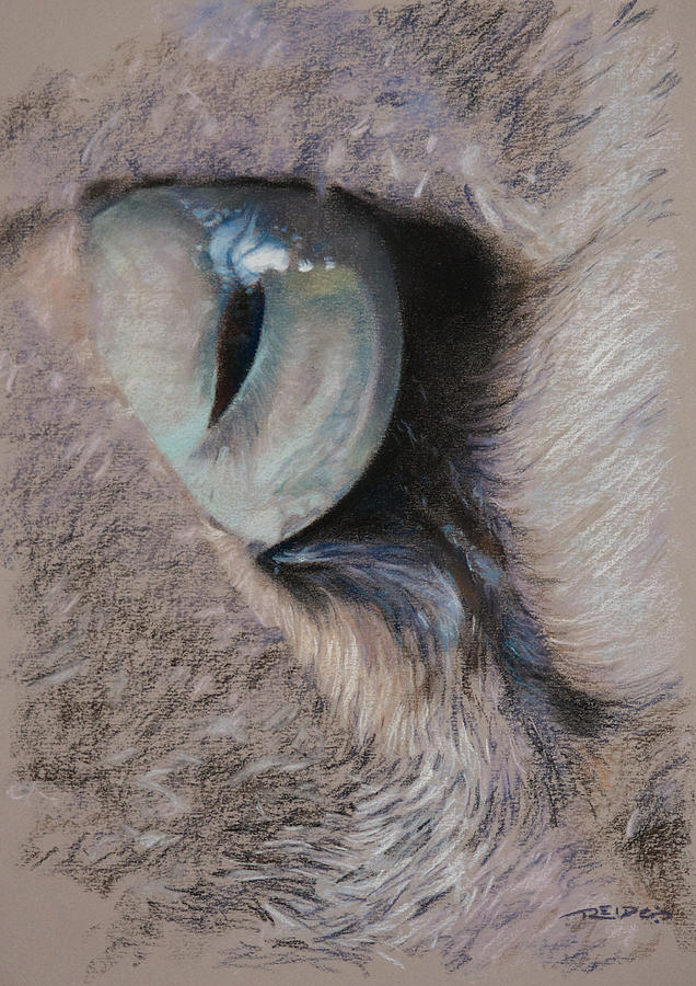 Urban Predators Eye Painting by Christopher Reid