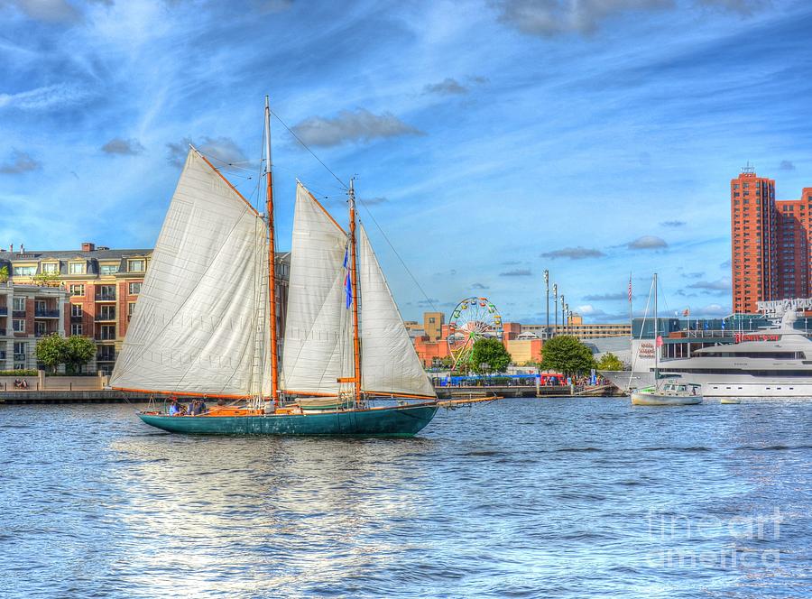 Urban Sailing Photograph by Debbi Granruth