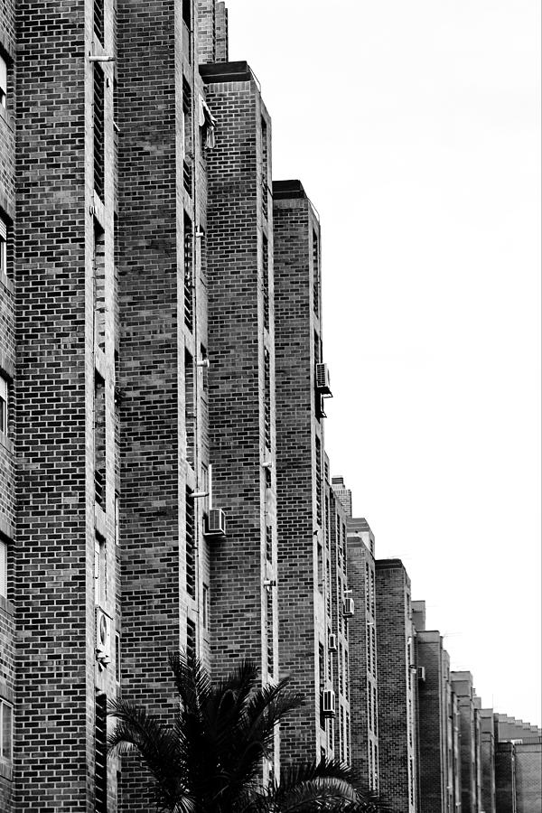 Urban texture 1 Photograph by Pedro Fernandez