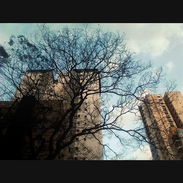Nature Photograph - Urban Thoughts by Hermes Cavalcante