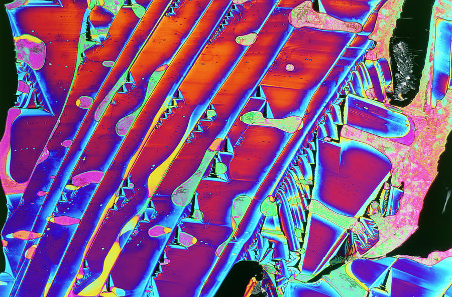 Urea Crystals Photograph by Sidney Moulds/science Photo Library