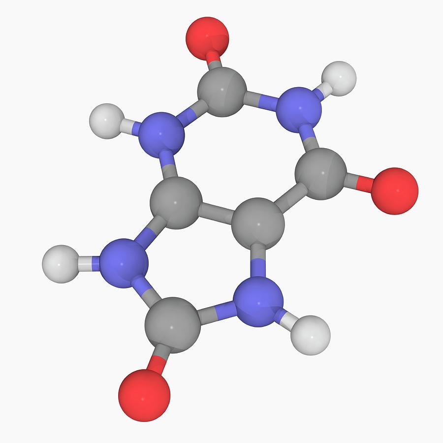 Uric Acid Molecule Photograph by Laguna Design/science Photo Library