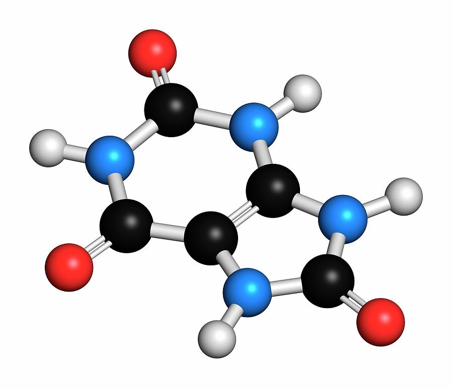 Uric Acid Molecule Photograph by Molekuul/science Photo Library
