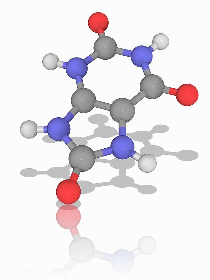 Uric Acid Organic Compound Molecule Photograph by Laguna Design/science ...