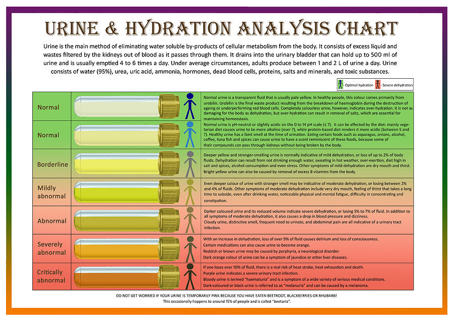 Urine and Hydration Analysis Chart Digital Art by Galina Imrie Fine
