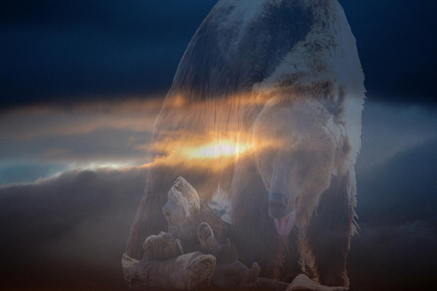 Ursa Major 2 - Great Bear Photograph by Kevin Bone