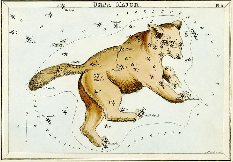 ursa major constellation drawing