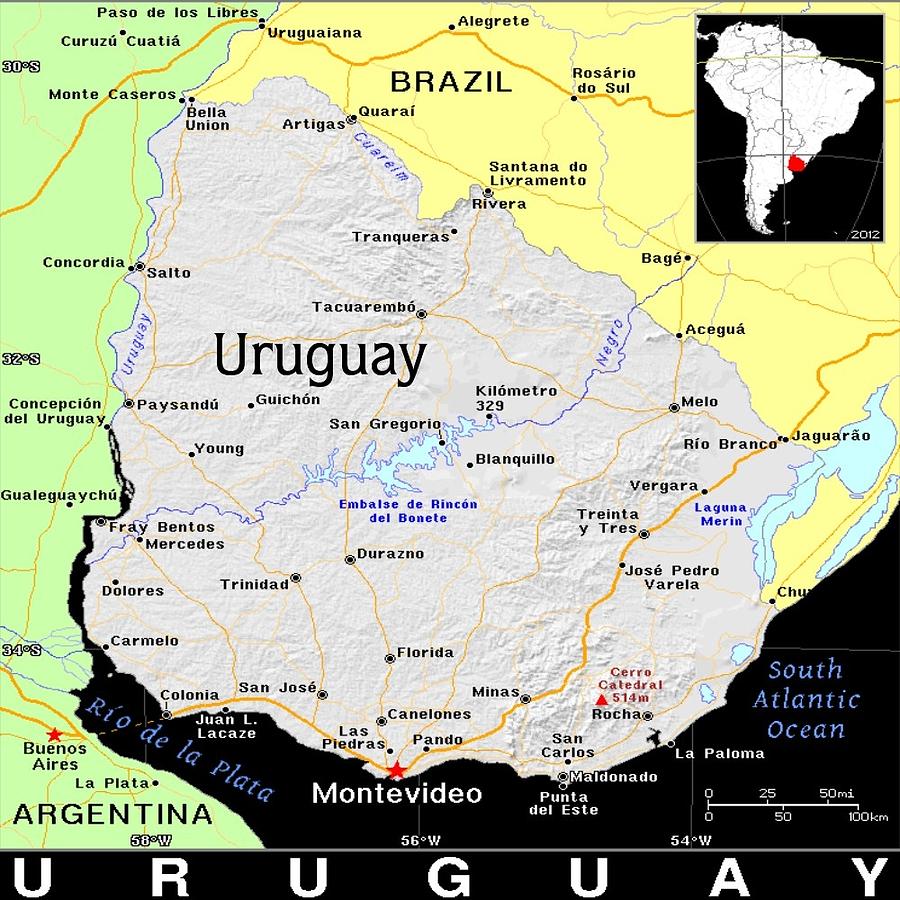 Uruguay Exotic Map Mixed Media by Florene Welebny