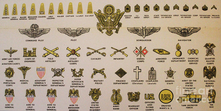 US Army Insignias Photograph by Steven Parker