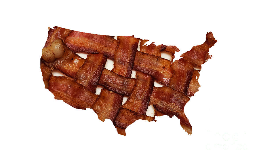 US Bacon Weave Map Photograph by Andee Design