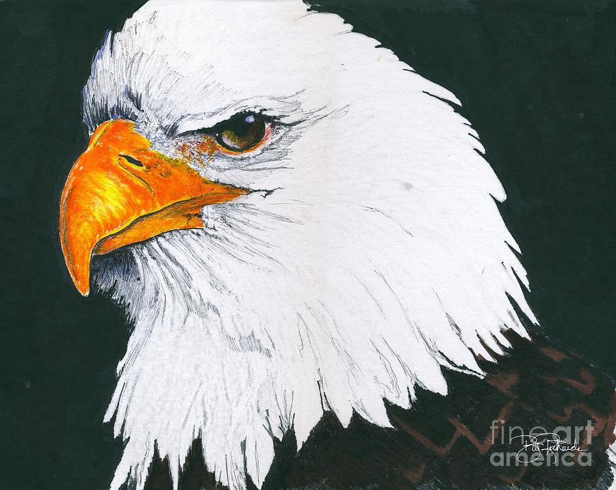 US Bald Eagle Drawing by Bill Richards