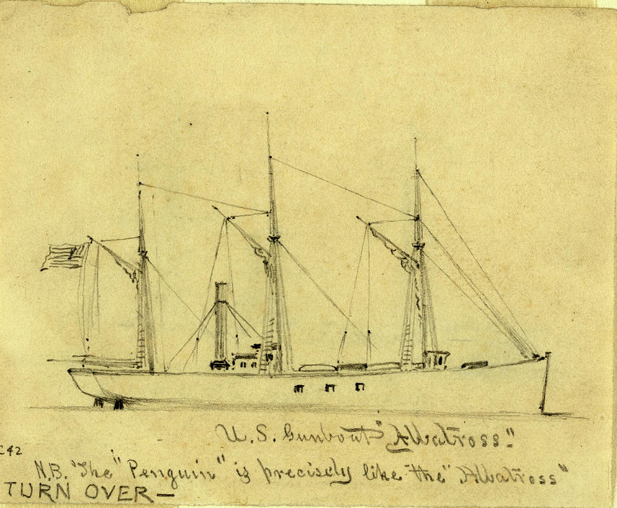 1860 Drawing - U.s. Gunboat Albatross, Between 1860 And 1865 by Quint Lox
