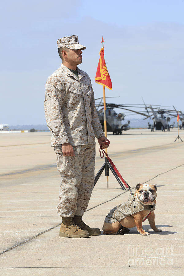 Platoon Photograph - U.s. Marine And The Official Mascot by Stocktrek Images Platoon Photograph - U.s. Marine And The Official Mascot by Stocktrek Images