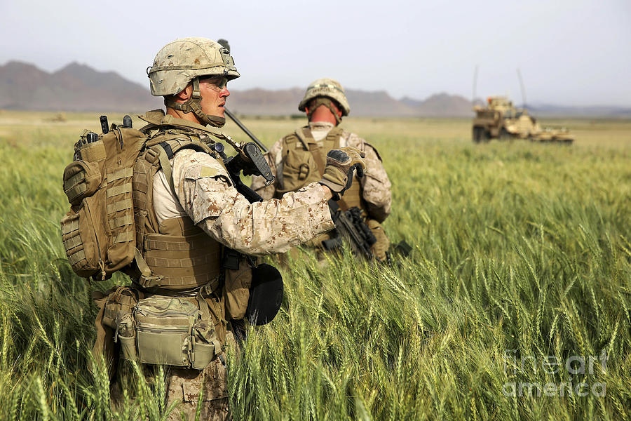 Us Marines Patrol Through A Field Photograph By Stocktrek Images