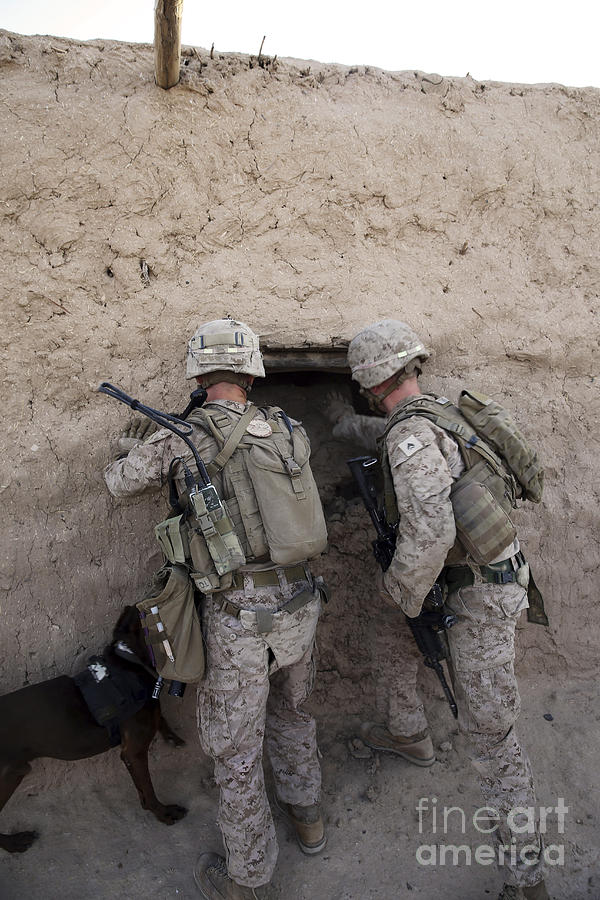 U.s. Marines Push Down A Wall In An Photograph by Stocktrek Images