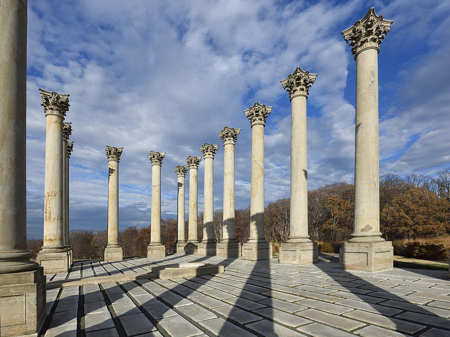U.S. National Arboretum - Capitol Columns Photograph by Brendan Reals